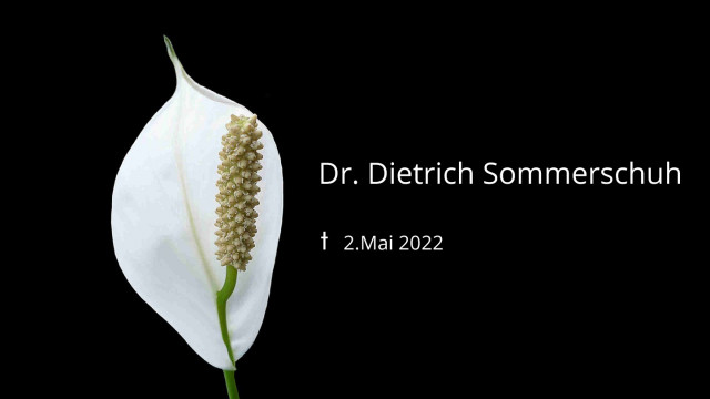 weiße Trauerblume vor schwarzem Hintergrund: Dr. Dietrich Sommerschuh